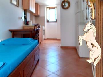 Huisje Aan Zee voor 3 Personen in Skyros, Centraal-Griekenland, Afbeelding 1