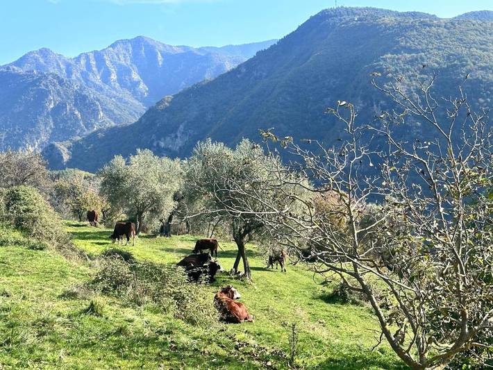 Location de vacances pour 9 personnes, avec vue et jardin, animaux acceptés à Lantosque - 4