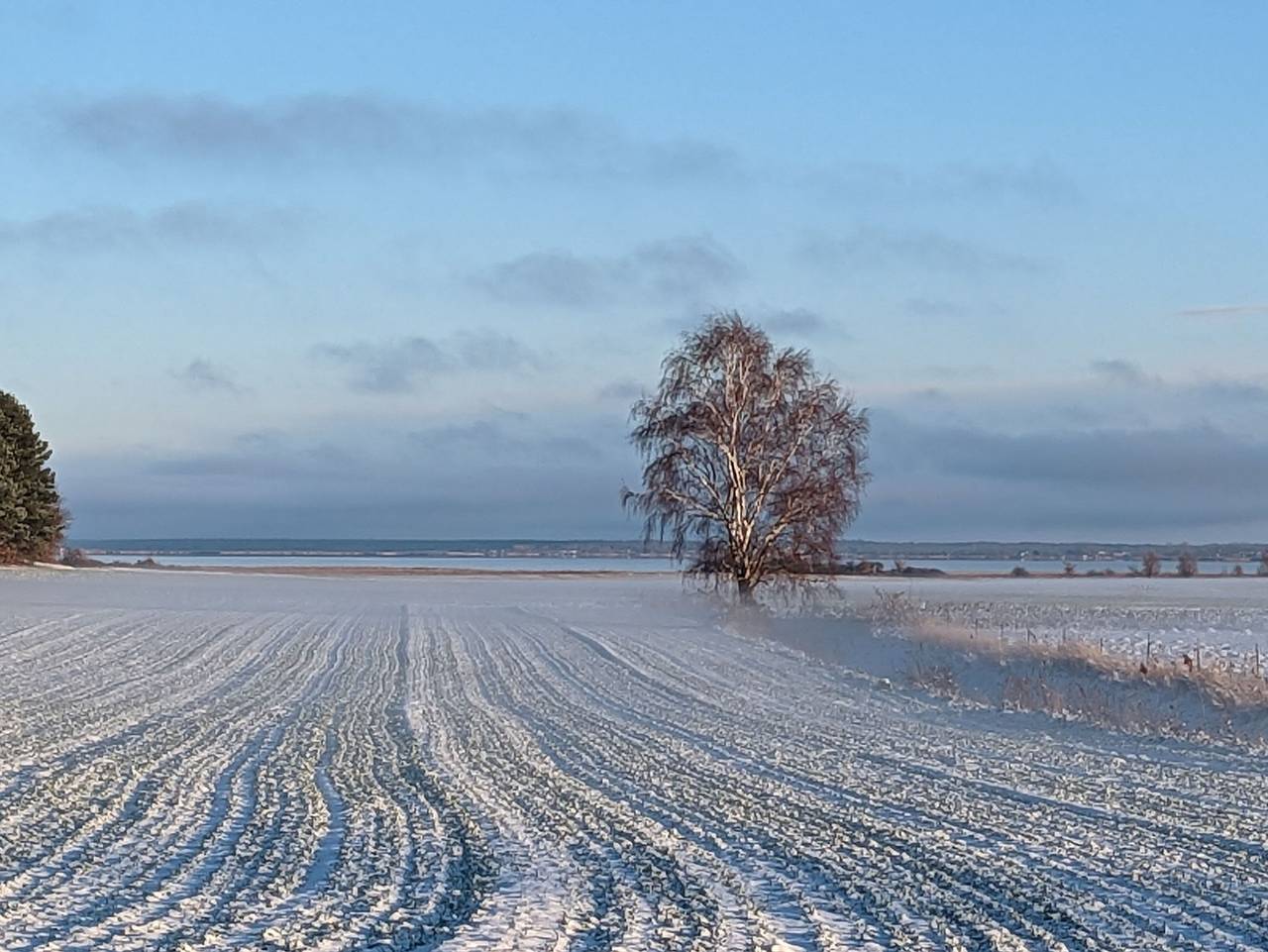 Ganze Ferienwohnung, App. Gutmann - Id 45476 - App. Gutmann in Klockenhagen, Ribnitz-Damgarten