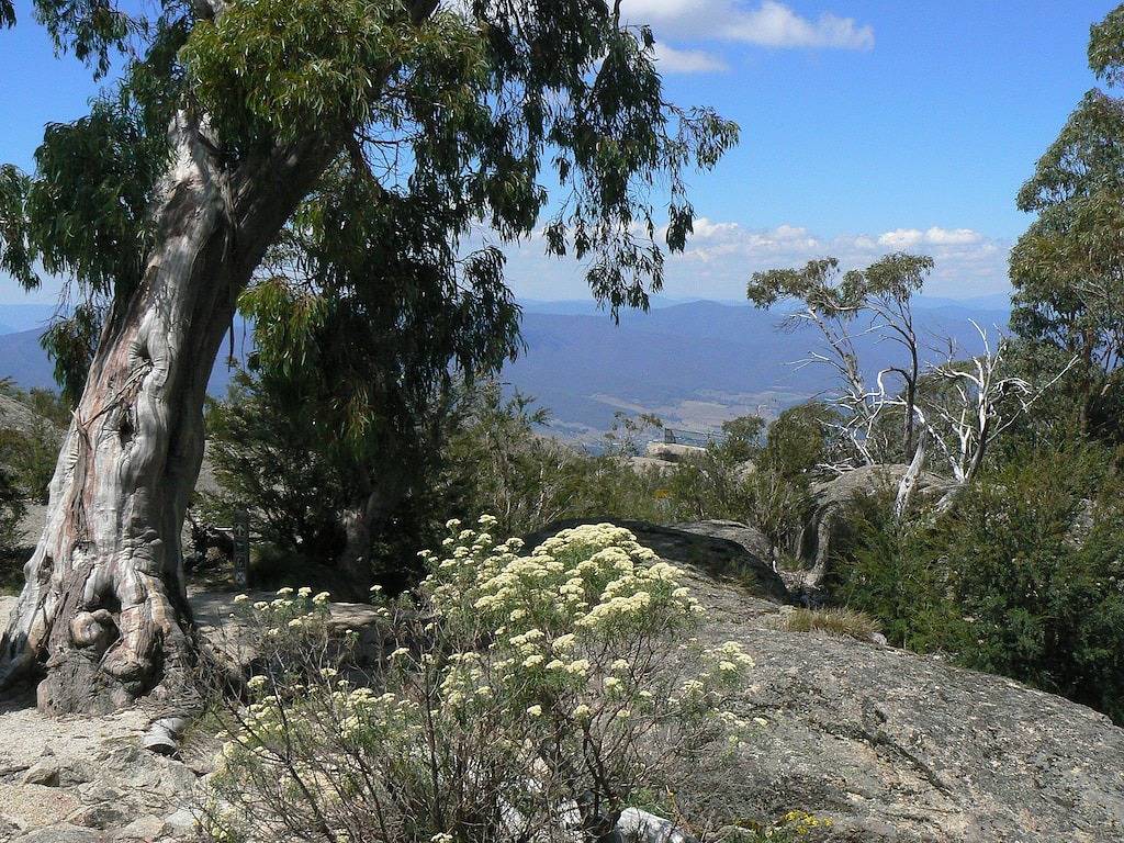 Tessies Studio - perfekt für zwei und ihre Haustiere - zu Fuß in die Stadt und zum Fluss in Bright, Alpine Shire