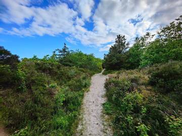 Ferieudlejning til 6 Personer i Bjert, Lillebælt, Billede 4