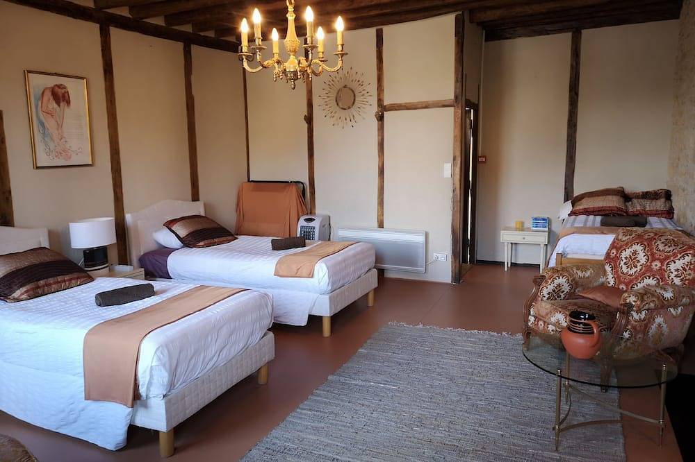 Welcome to Tuffe 11 beds in the center of village short walk to lake in Tuffé, Sarthe