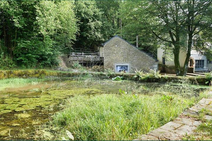 Location de vacances pour 2 personnes, avec terrasse ainsi que jardin et vue à Florenville - 3