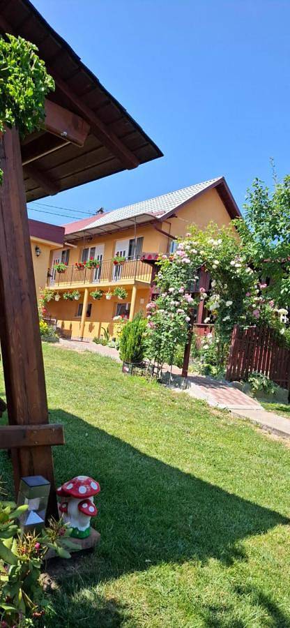 Gîte pour 3 personnes, avec vue et jardin, adapté aux familles dans Cluj-Napoca
