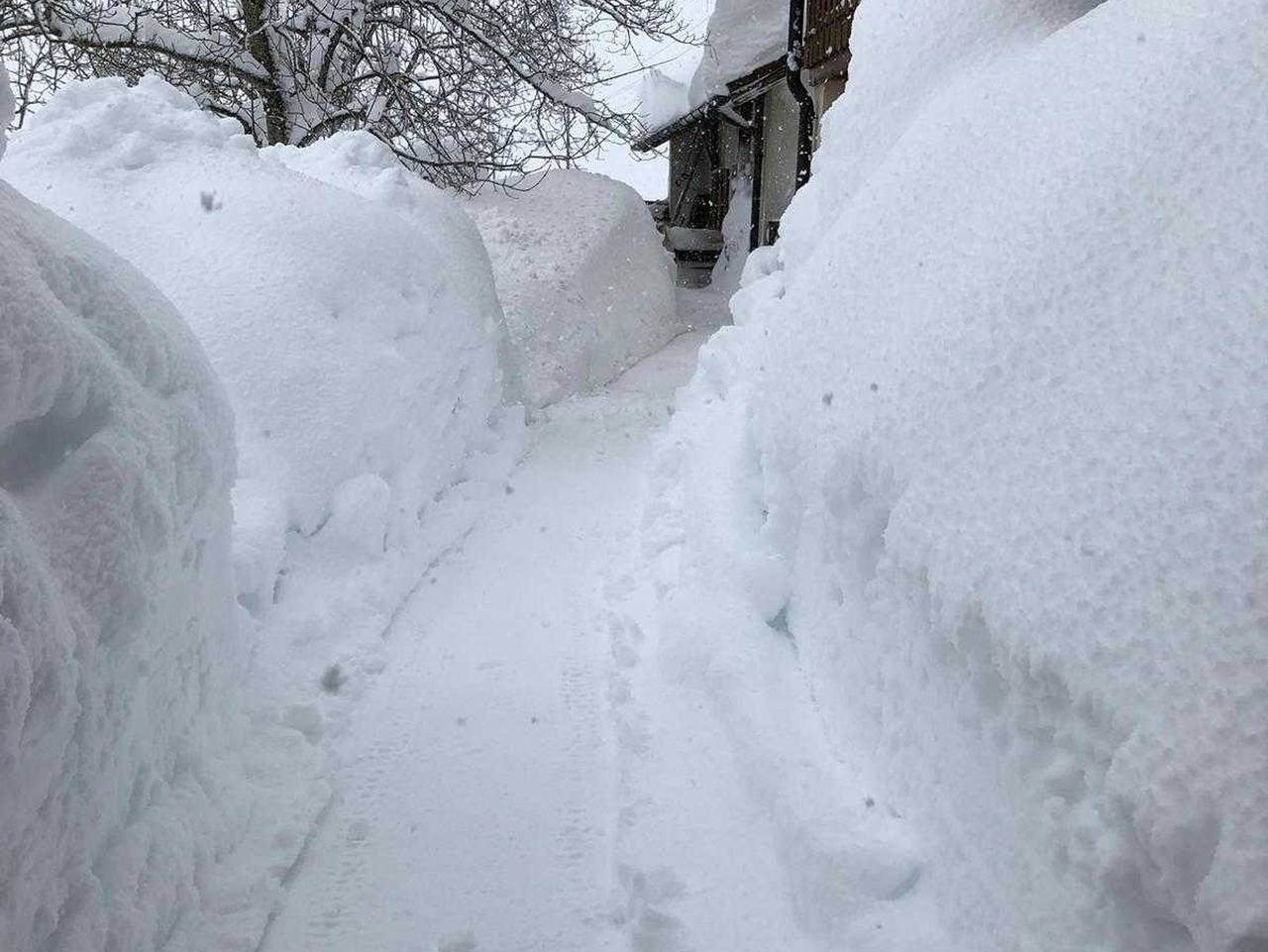 Ganze Ferienwohnung, Fewo Engelhirsch - Ferienwohnung Westseite in Weitnau, Bayerisch Schwaben