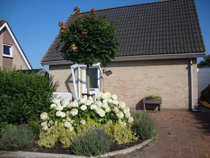 Ferienhaus für 5 Personen, mit Terrasse und Garten in Goeree-Overflakkee - 4