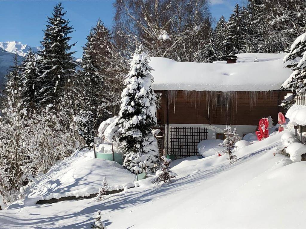 Traumlodge in Taxenbach, Ski Amadé