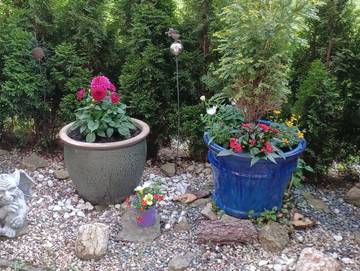 Ferienpark für 5 Personen in Altenau, Oberharz, Bild 2