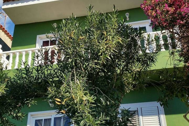 Gîte pour 5 personnes, avec balcon et jardin dans Alojera