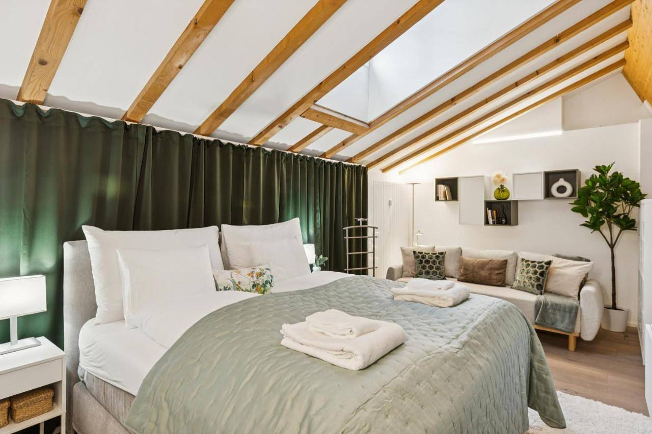 Ganze Wohnung, Old Town Diamond Penthouse Ac Private Rooftop in Zürich, Bezirk Zürich