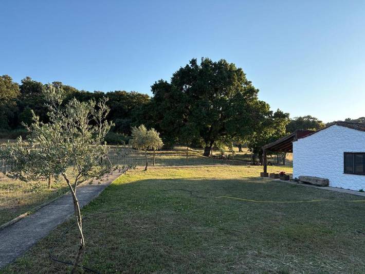 Casa rural para 5 personas, con piscina además de terraza y jardín en Extremadura - 4