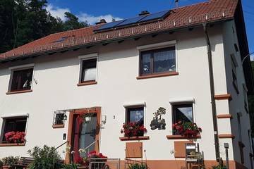 Ferienwohnung für 4 Personen in Bad Bergzabern