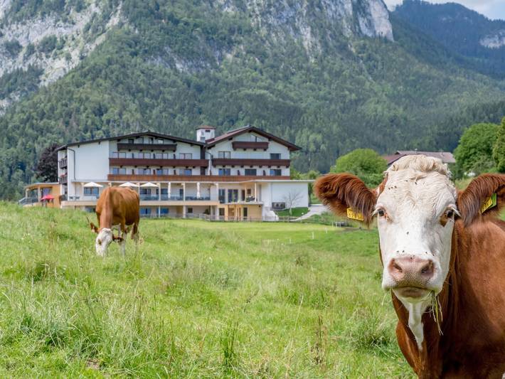 Gasthaus Hotel Rieder - Einzelzimmer in Jenbach, Bezirk Schwaz