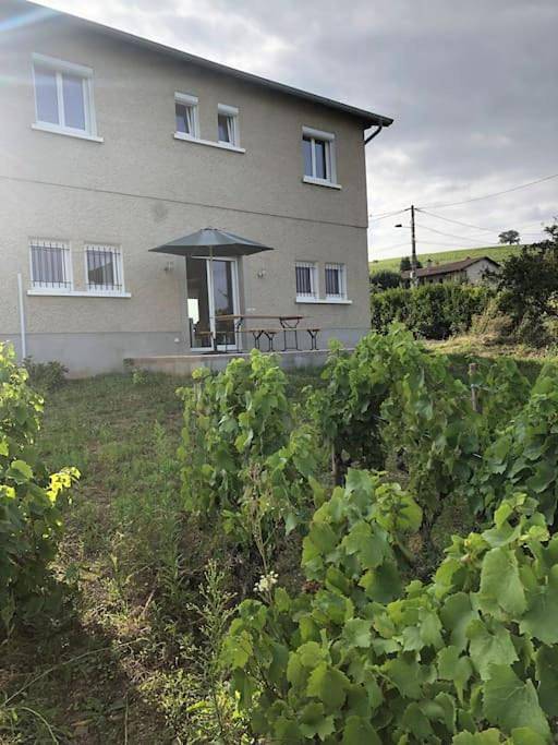 Gîte pour 6 personnes, avec terrasse ainsi que jardin et vue à Villié-Morgon - 2