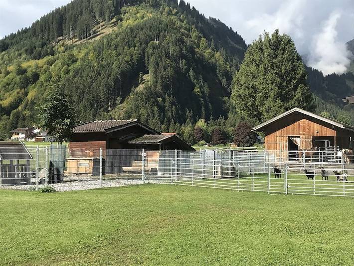 Ferienhaus für 5 Personen, mit Balkon und Garten in Bichlbach - 4