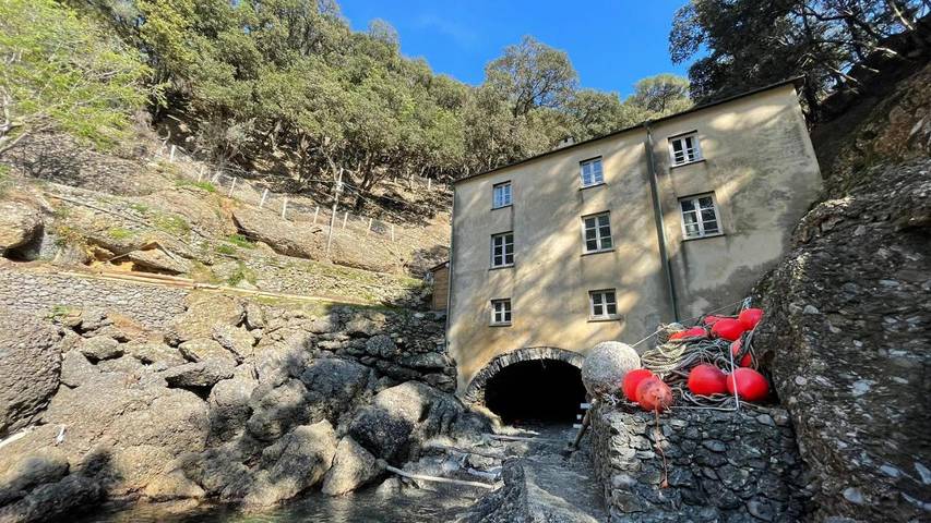 Location de vacances pour 4 personnes, avec jardin et vue, animaux acceptés à Camogli - 3
