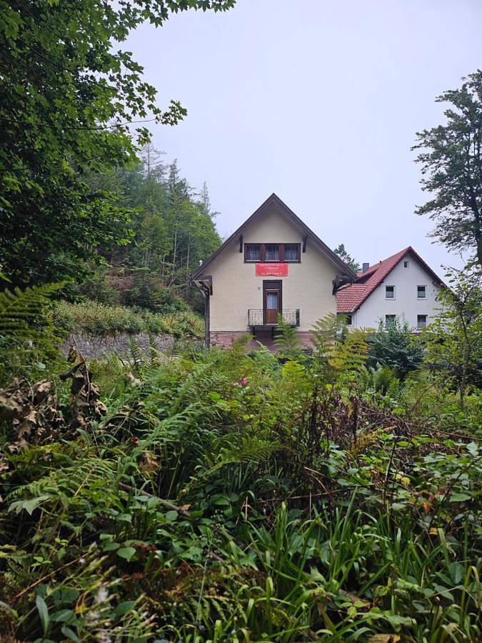 Location de vacances pour 12 personnes, avec sauna ainsi que terrasse et vue à Seebach (Ortenaukreis) - 2