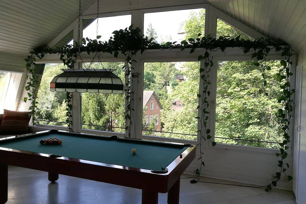 Ganze Wohnung, Heidelberger Altstadt-Loft in Traumlage in Altstadt Heidelberg, Heidelberg