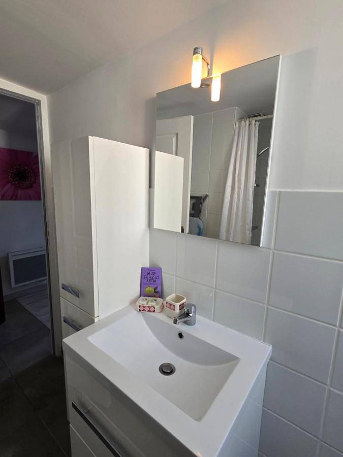 Gîte pour 3 personnes, animaux acceptés à Vendôme - 4