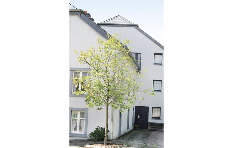 Ferienwohnung für 6 Personen, mit Terrasse in Luxemburg - 3