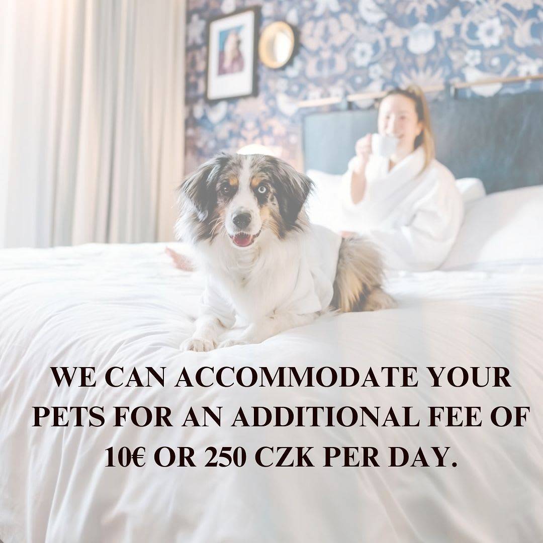 Appartamento intero, Modern Loft-apart in Prague in Nové Město (Praha), Praga