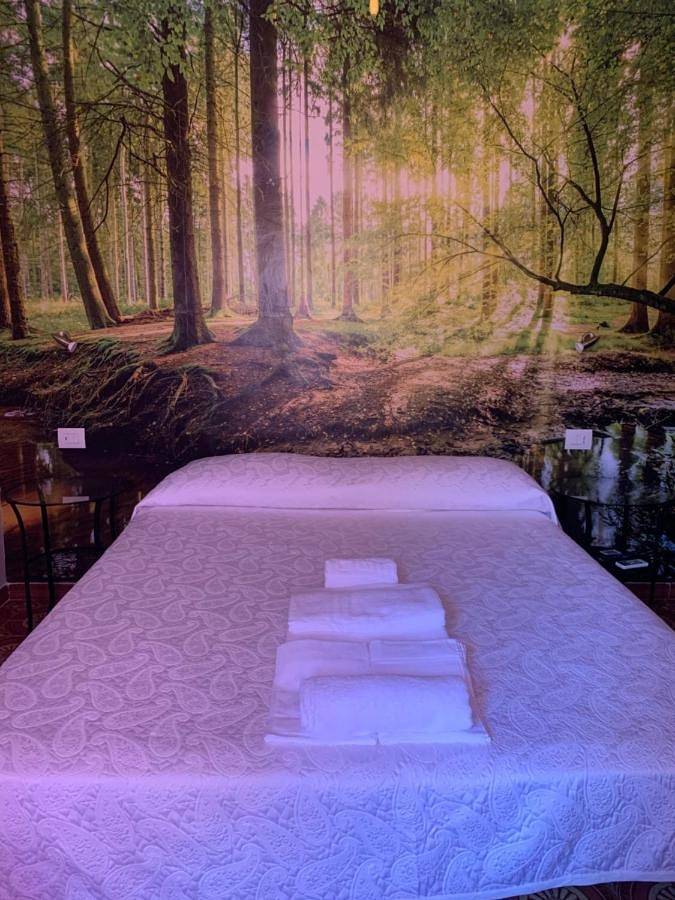 Chambre d’hôte pour 2 personnes, avec jacuzzi et jardin à Praia a Mare - 4