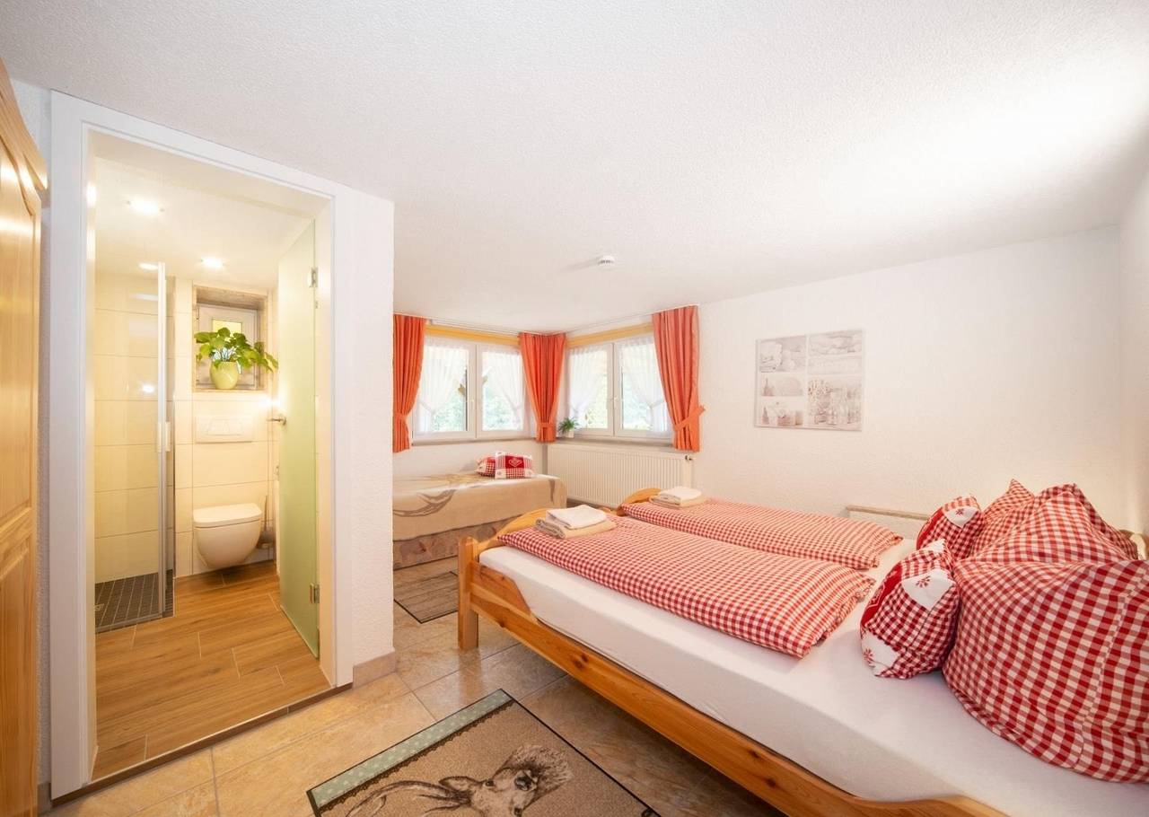 Ganze Ferienwohnung, Fewo Hoher Stein in Oberschönau, Rennsteig