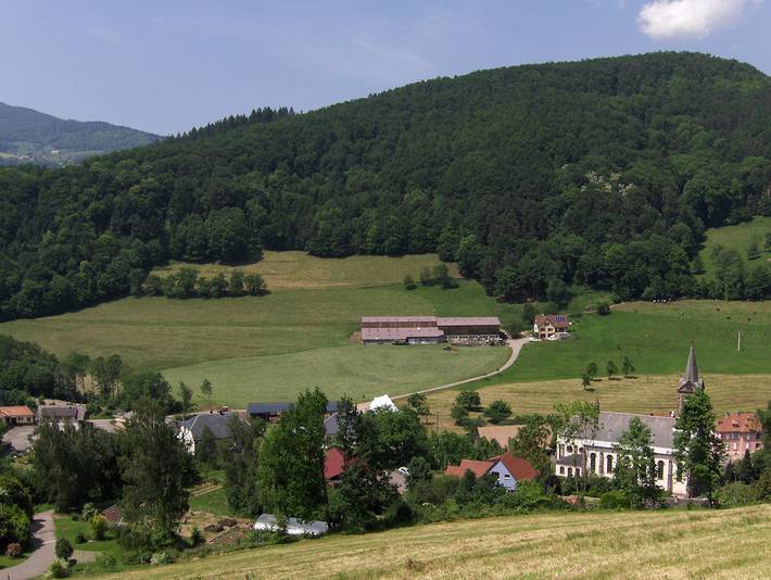 Gîte pour 4 personnes, avec jardin ainsi que terrasse et sauna, animaux acceptés dans Grand Est - 4