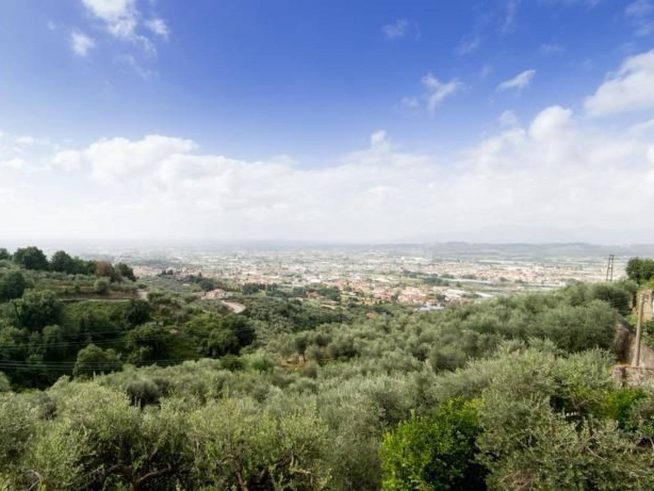 Ganze Wohnung, Wohnung der Mandarin in Uzzano, Pistoia Provinz