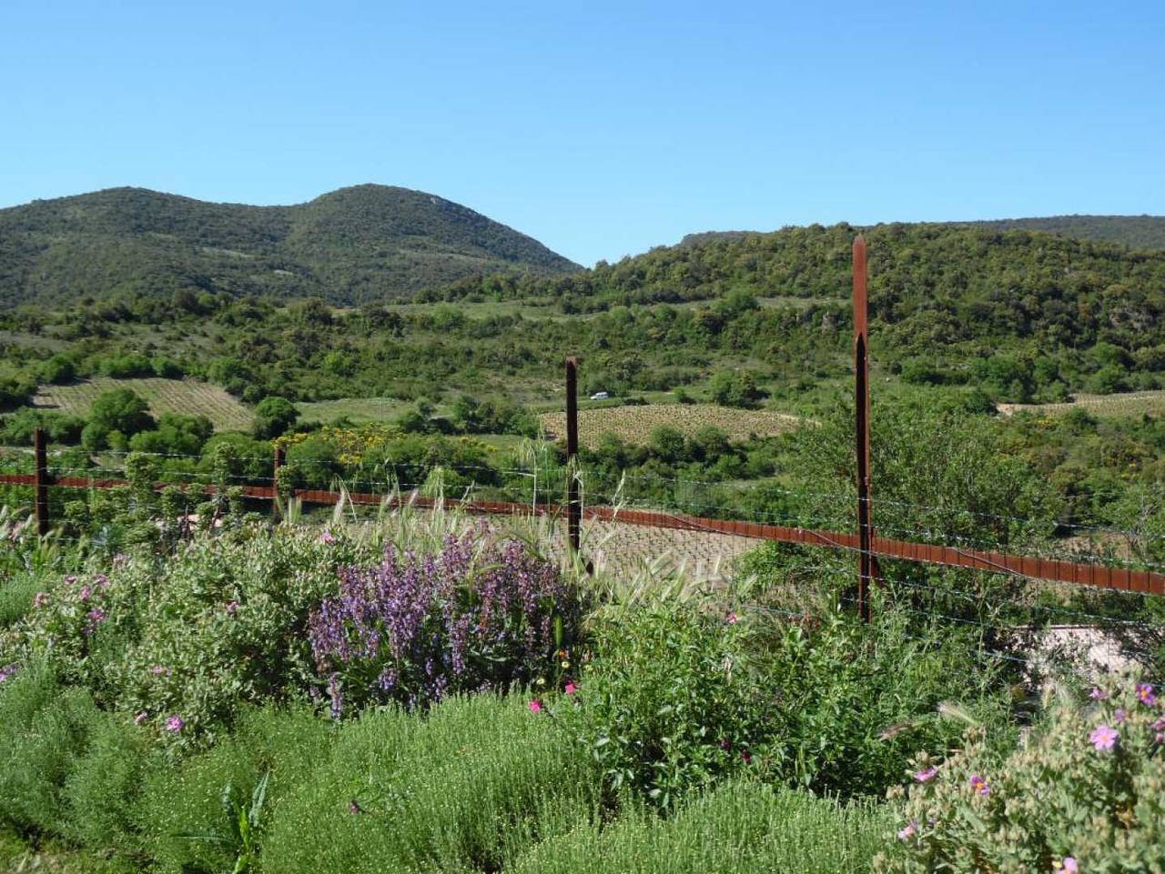 L'oustalet de Justine in Montgaillard, Parc naturel régional Corbières-Fenouillèdes