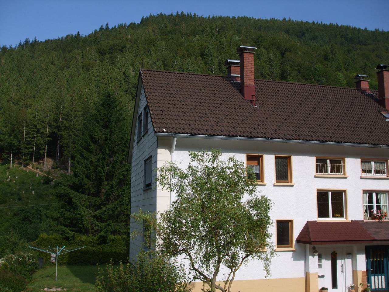 Ganze Ferienwohnung, Haus Post Eg-Wohnung in Todtnau, Südschwarzwald