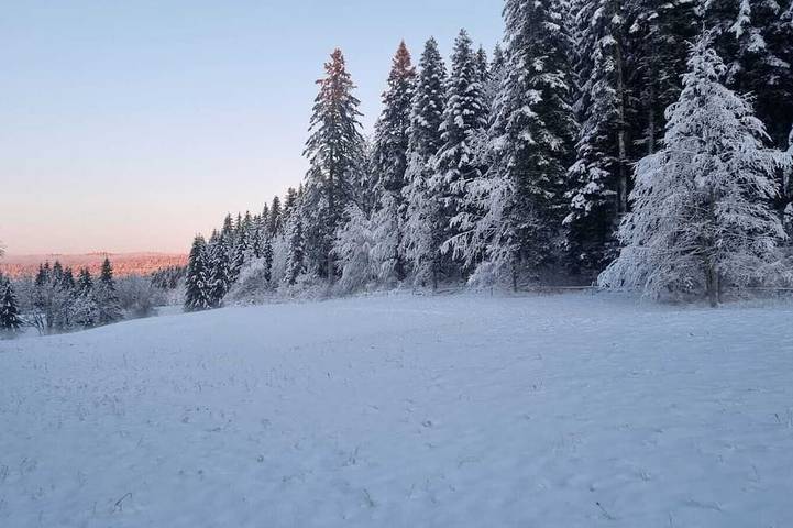 Appartement de vacances pour 4 personnes, animaux acceptés