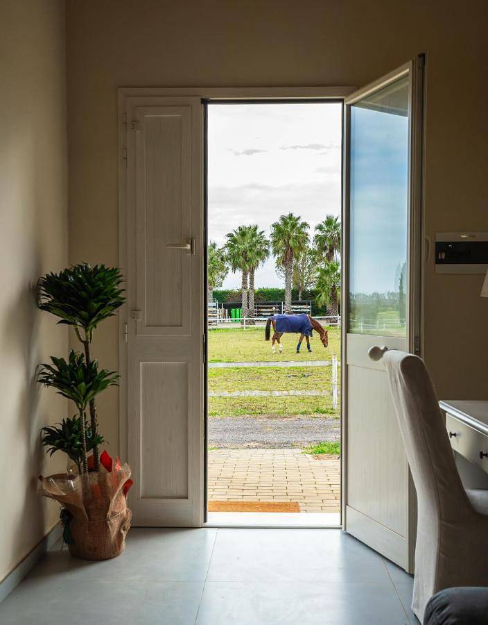 Location de vacances pour 2 personnes, avec jardin et piscine, animaux acceptés à Copertino - 3