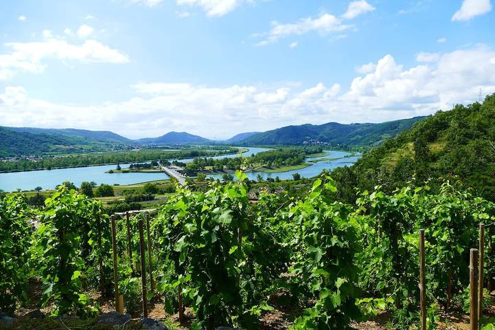 Location de vacances pour 5 personnes, avec jardin et terrasse à Arras-sur-Rhône