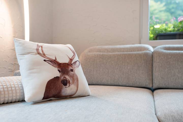 Location de vacances pour 10 personnes, avec jardin à Baden-Baden - 4