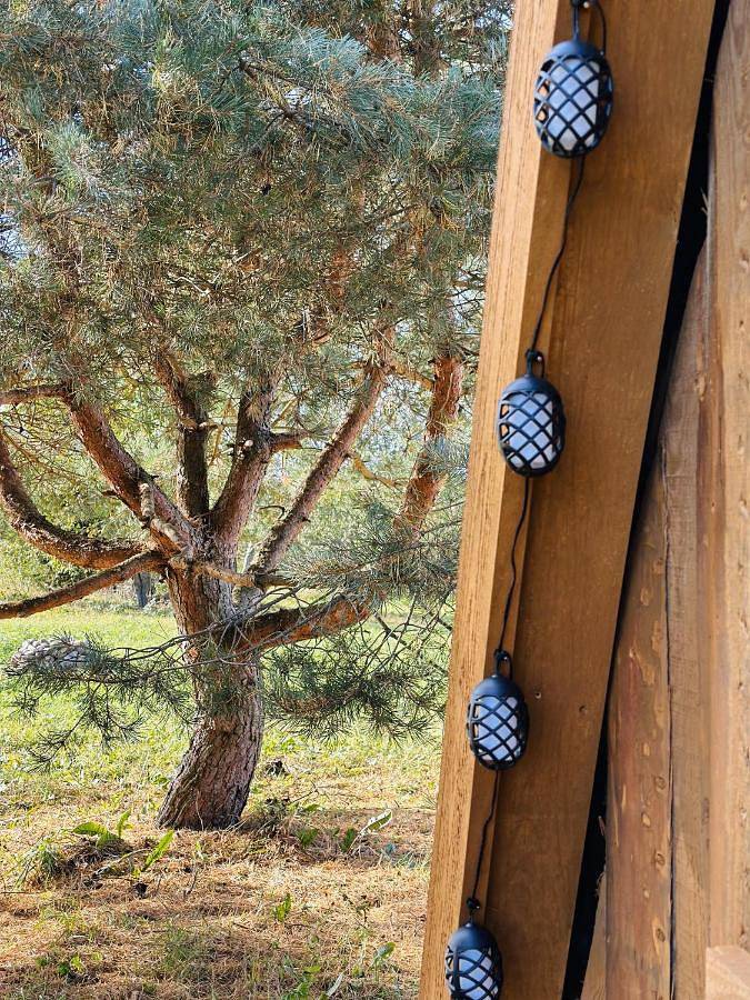 Briedžio sapnas - tipis saulė in Litwa