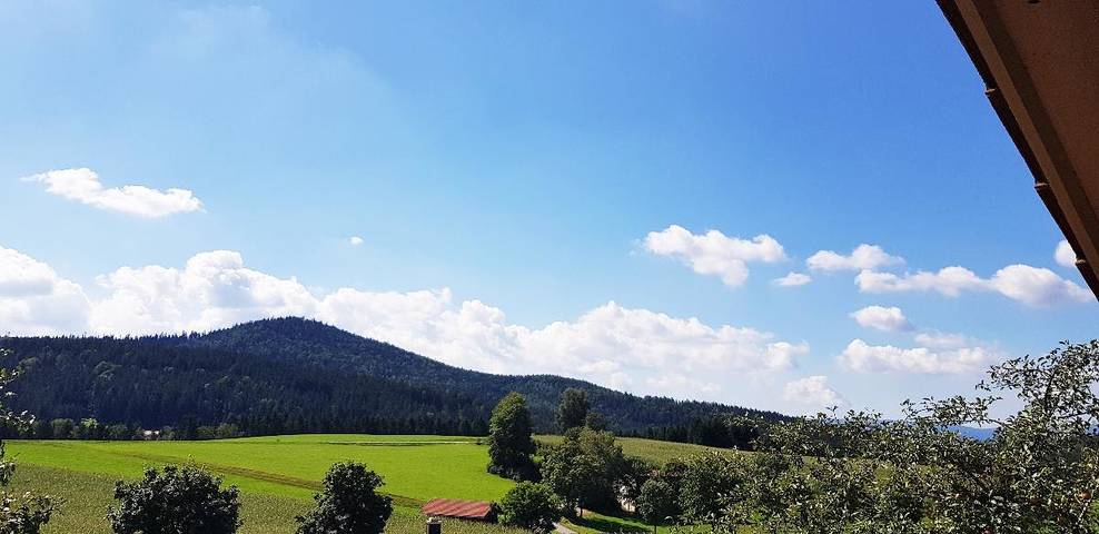 Haus Leutner - Doppelzimmer in Bodenmais, Ostbayern