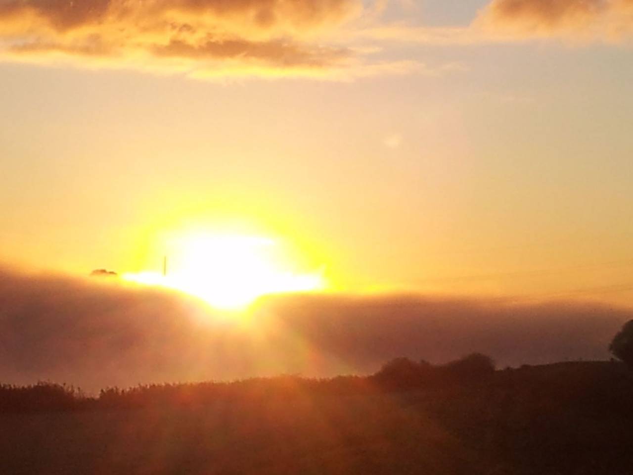 Elbufer 4C in Marschacht, Landkreis Harburg