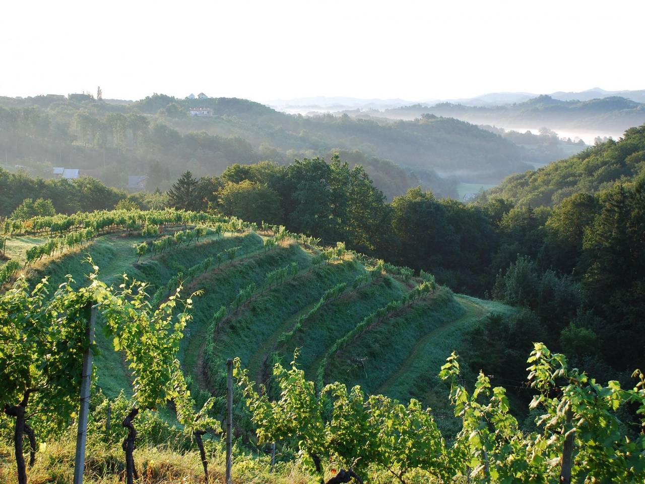 Für 8 Personen + 4 Kinder ca. 200 m² in Ptuj, Untersteiermark (Drau Slowe in Untersteiermark