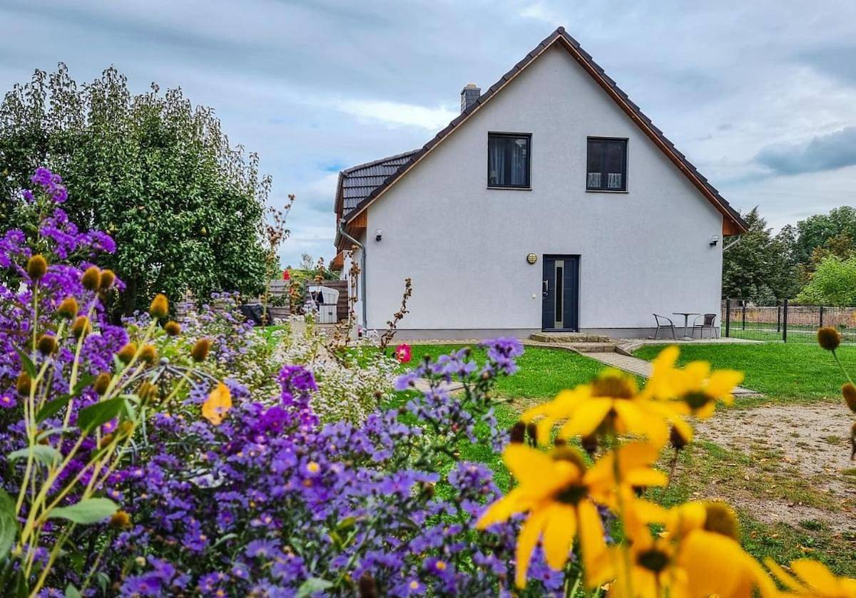 Ganze Wohnung, Ferienwohnung zur Schlossruine in Putzar, Boldekow