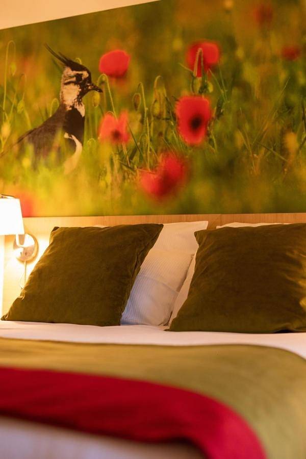 Hôtel pour 3 personnes, avec jardin et sauna, animaux acceptés à Lamotte-Beuvron - 4