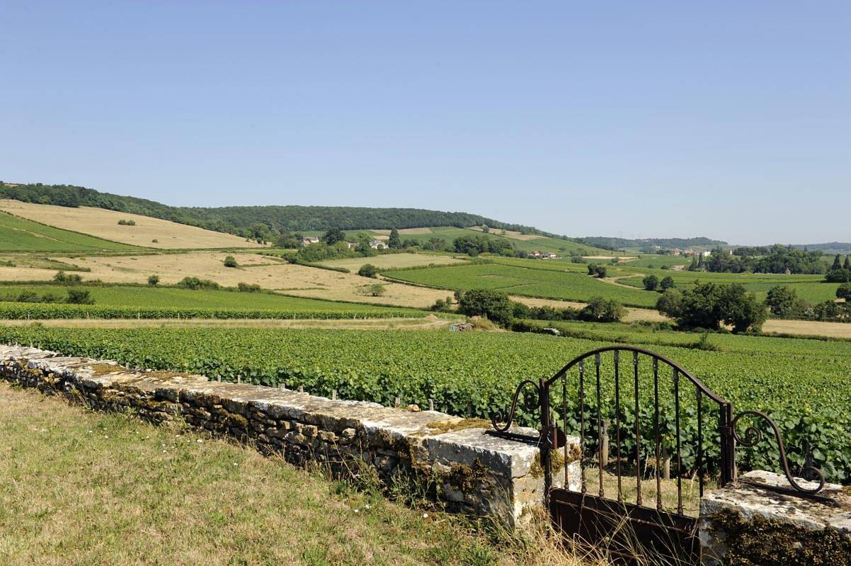 Au Thil in Chenôves, Chalon-sur-Saône region