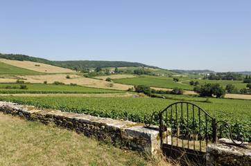 Gîte pour 8 Personnes dans Chenôves, Région de Chalon-sur-Saône, Photo 3