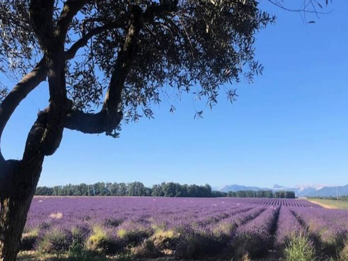 Gîte pour 3 personnes, avec piscine et jardin à Brunet (Alpes-de-Haute-Provence) - 4