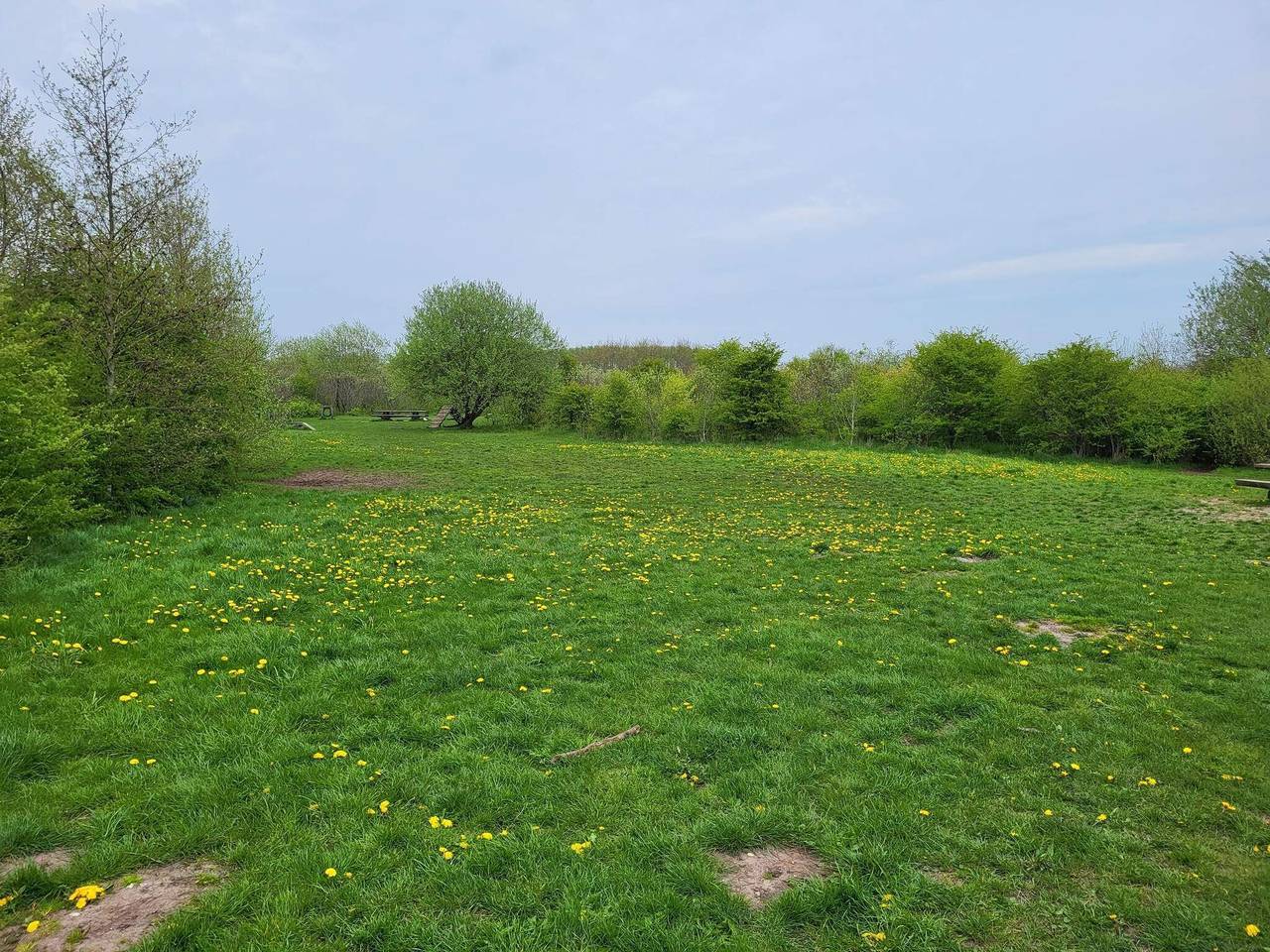 5 Personen Ferienhaus in Esbjerg V-By Traum in Esbjerg, Esbjerg und Umgebung