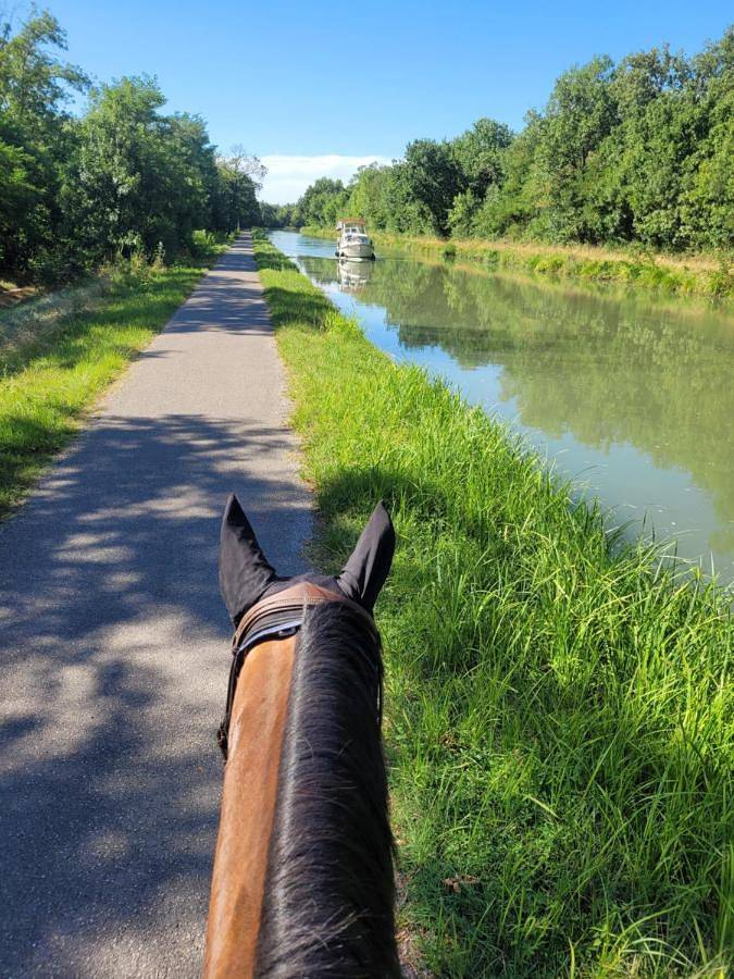 Location de vacances pour 2 personnes, avec piscine ainsi que jardin et vue à Montech - 3