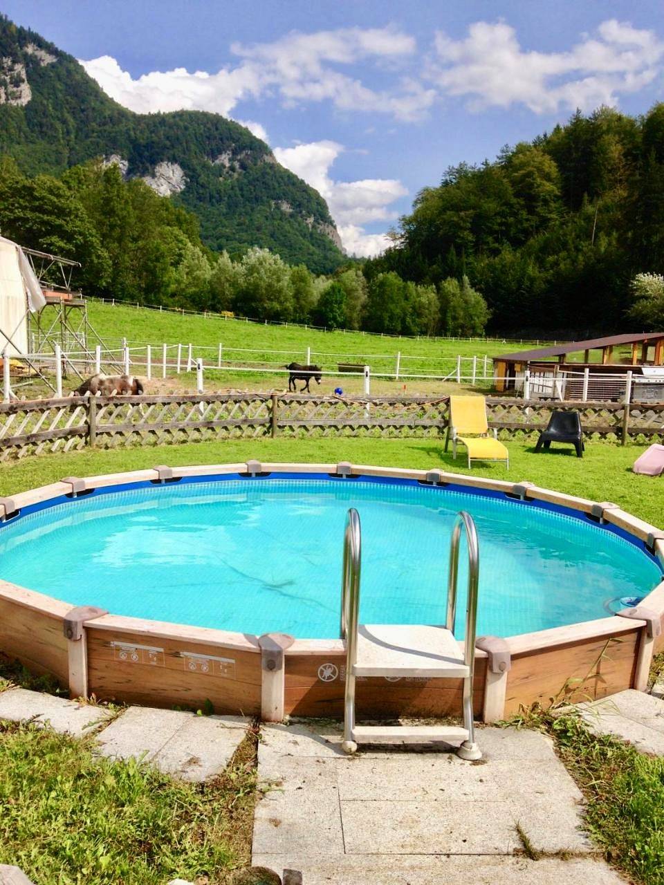 Appartement entier, Eichhof Brienzwiler Berner Oberland in Brienzwiler, Arrondissement administratif d'Interlaken-Oberhasli