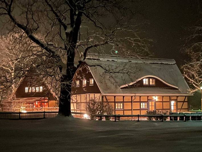 Ferienhaus für 10 Personen, mit Terrasse und Garten sowie Sauna und Seeblick im Lieper Winkel - 2