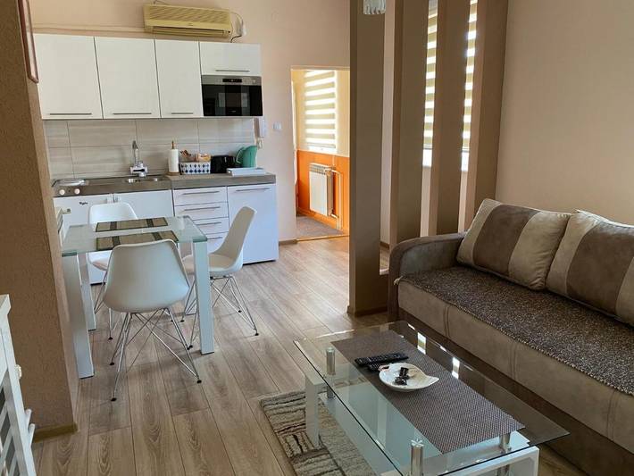 Gîte pour 4 personnes, avec jardin ainsi que jacuzzi et sauna à Vršac - 3