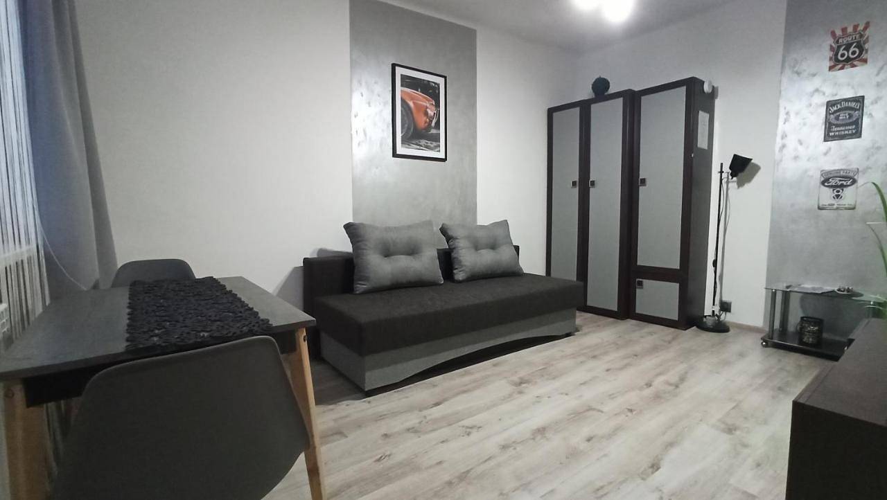 Cały apartament, One-Bedroom Apartment in Sandomierz, Województwo świętokrzyskie